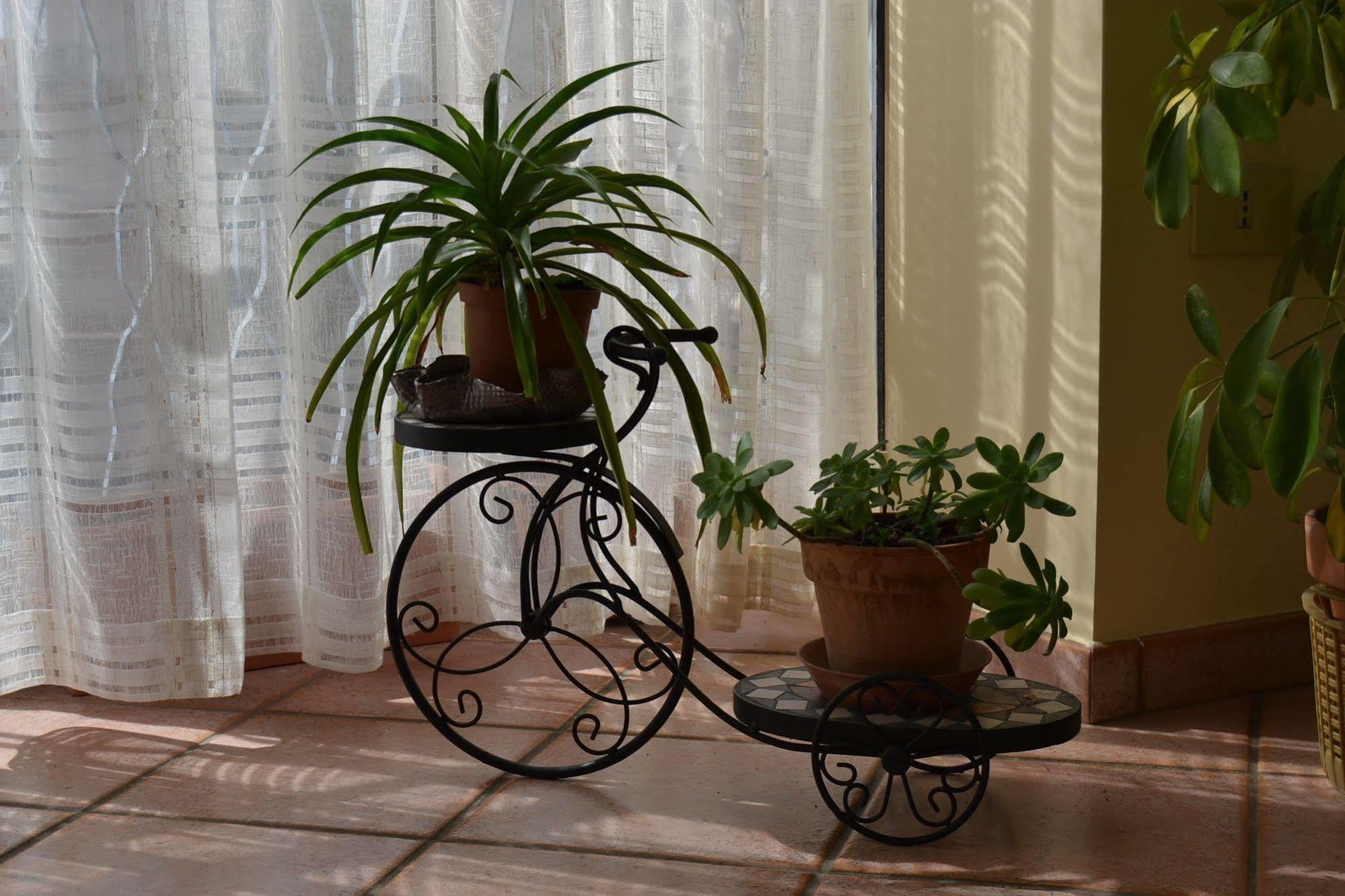 Bed & Breakfast Marena Sant'Agata Li Battiati Exteriér fotografie